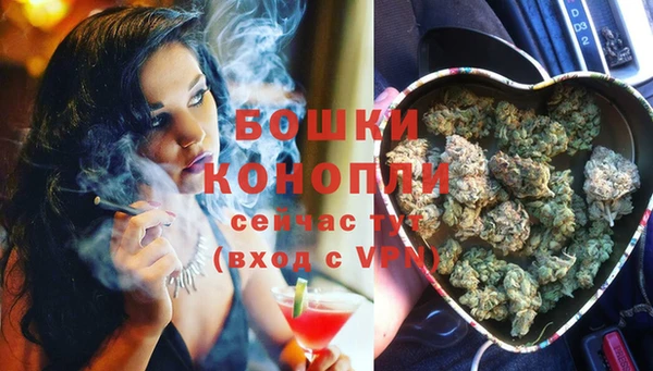 крисы Саяногорск