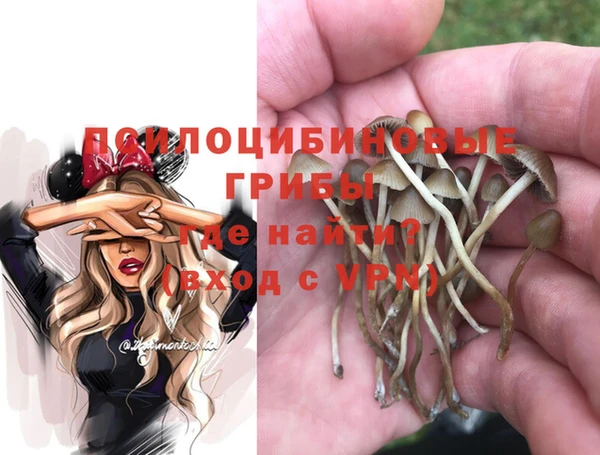 стафф Сафоново