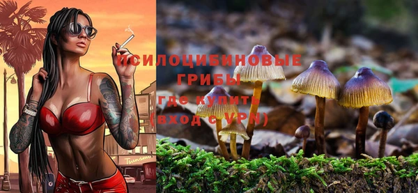 крисы Саяногорск