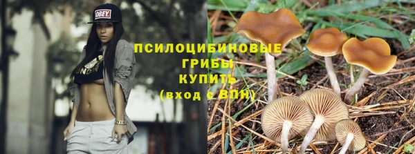 стафф Сафоново