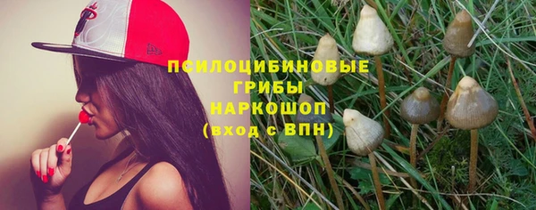крисы Саяногорск